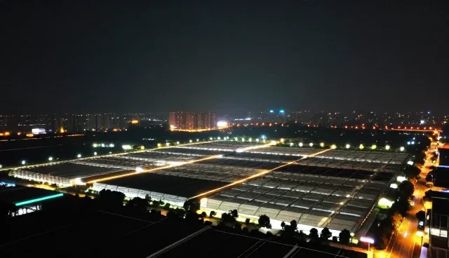 企业名录查询的覆盖要点与资源拓展策略